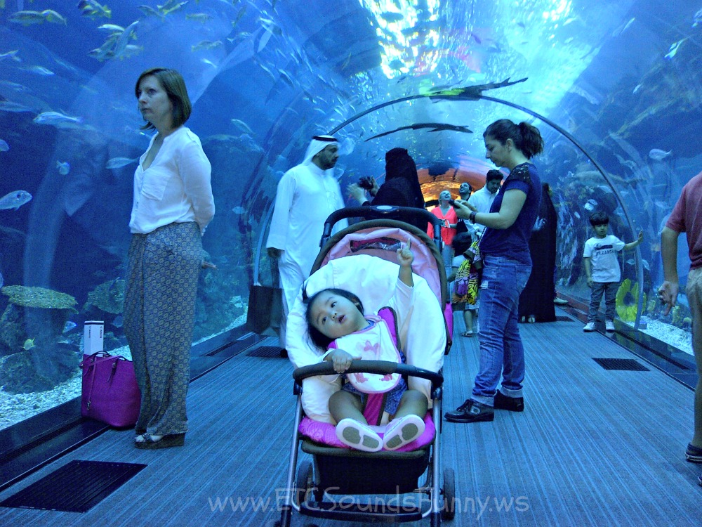 tunnel_aquarium_dubai_mall.jpg