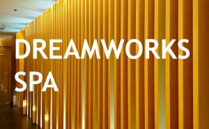 Dreamworks Spa Cover